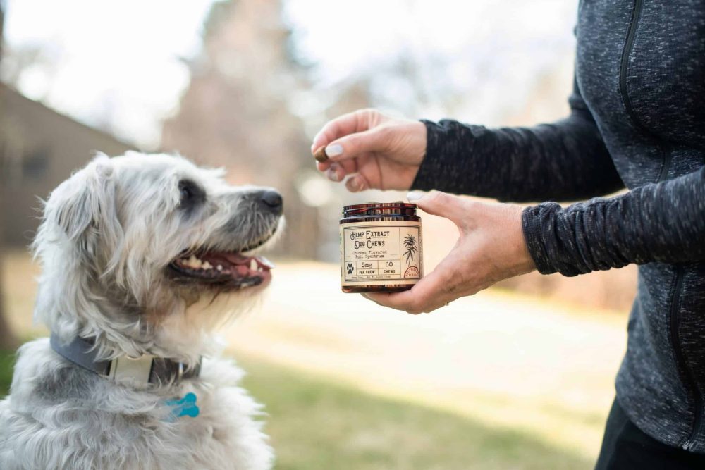 The Truth About Dog Supplements For Homemade Food