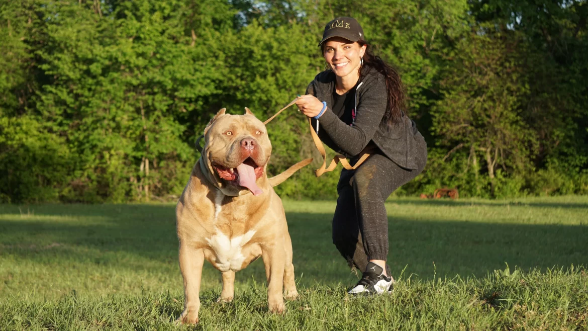 How Friendly Are American Bullies