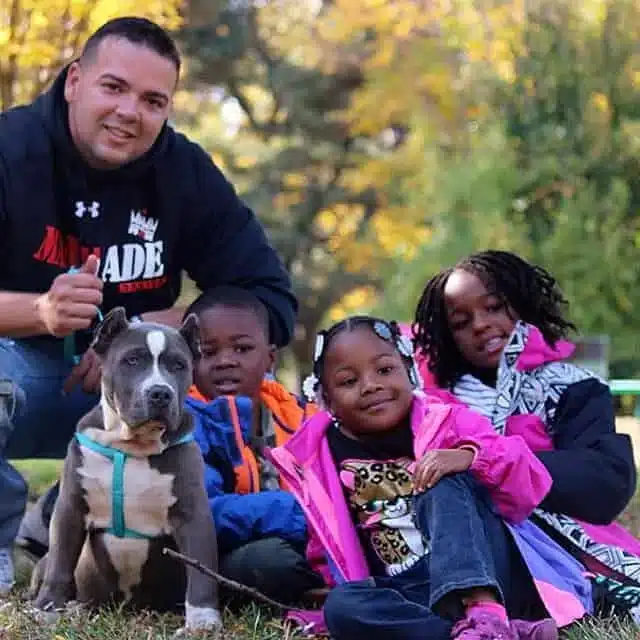 blue bully dog puppies