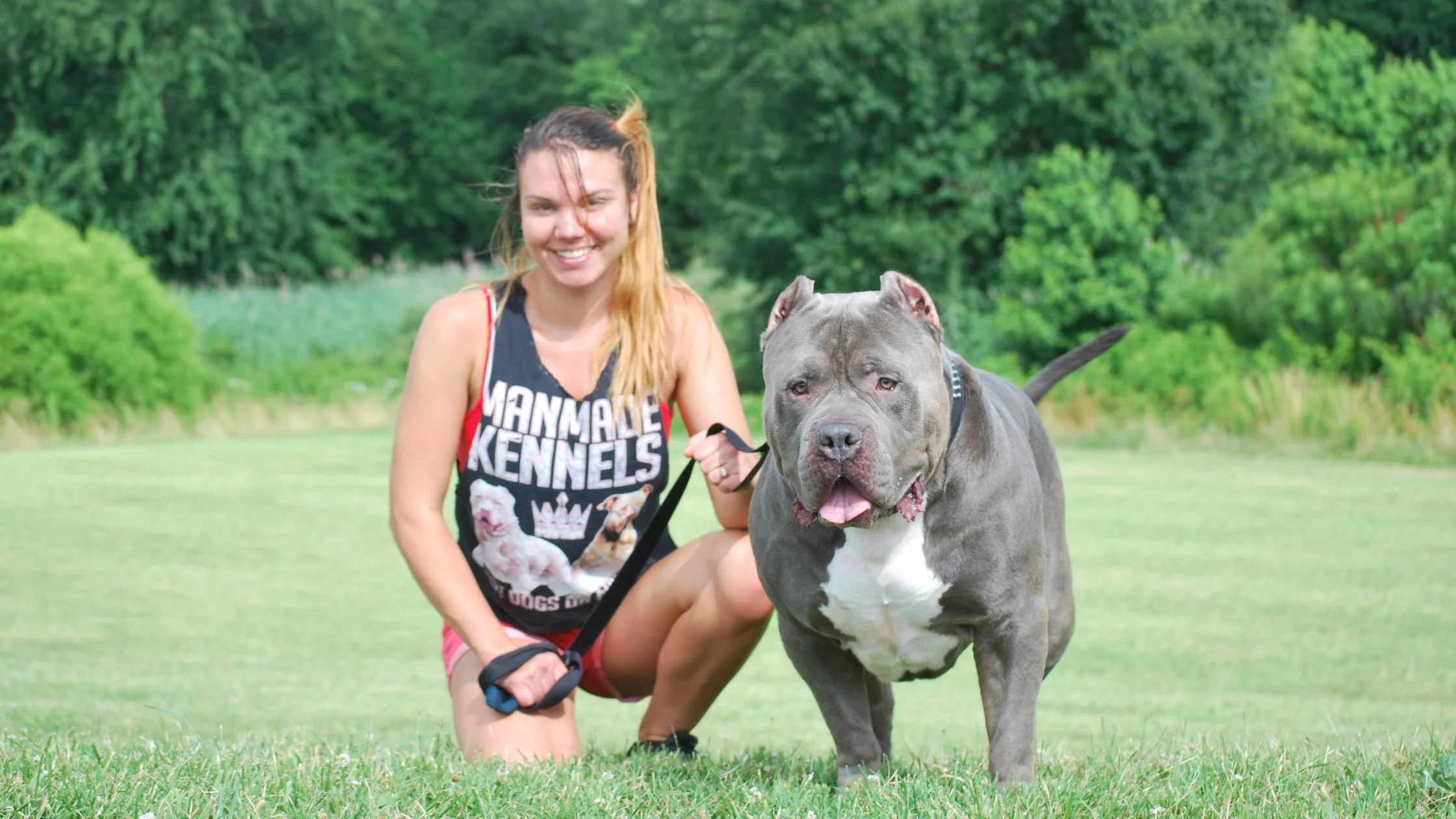 American Bully Growth Stage