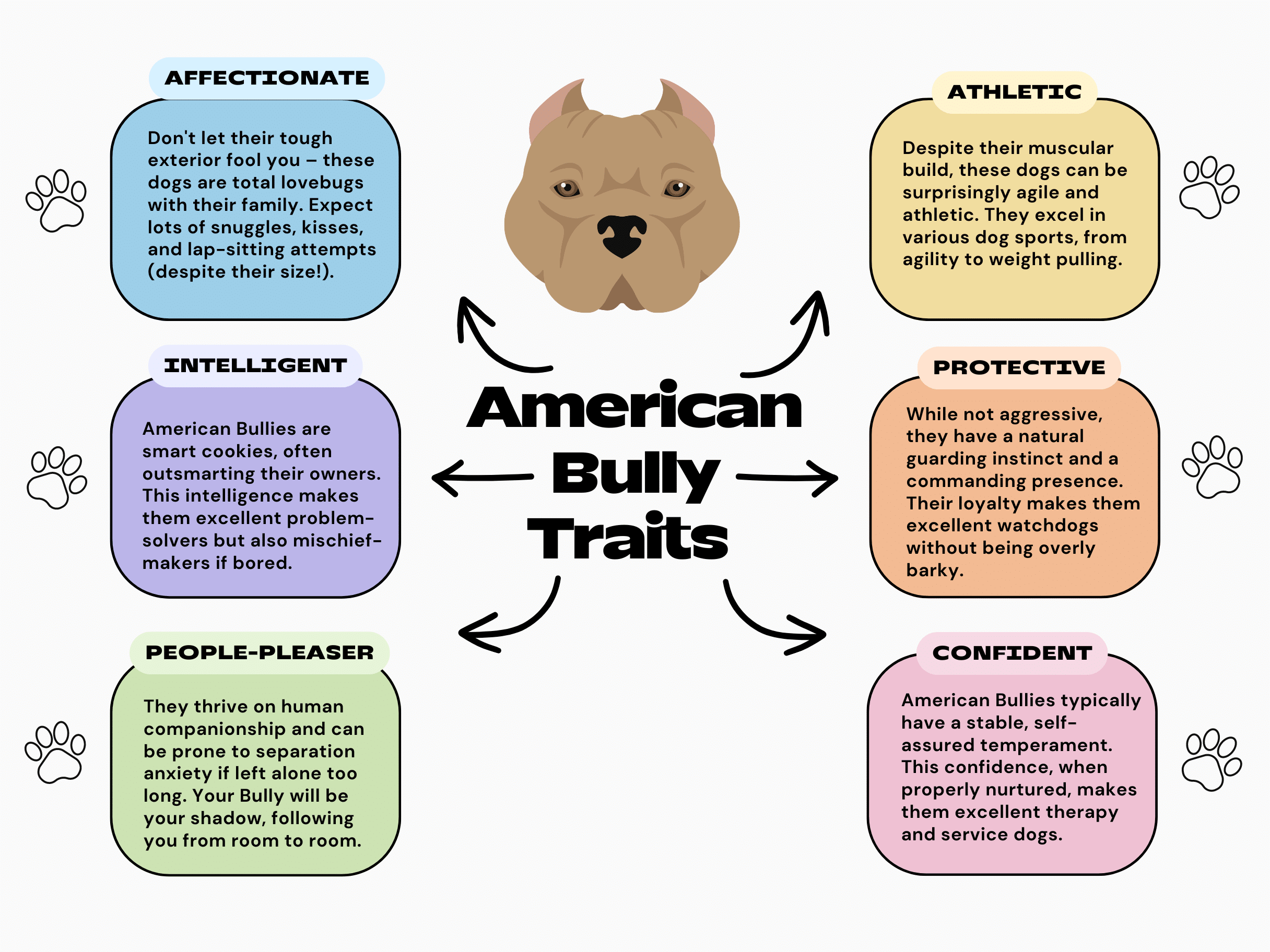 American Bully Traits Chart