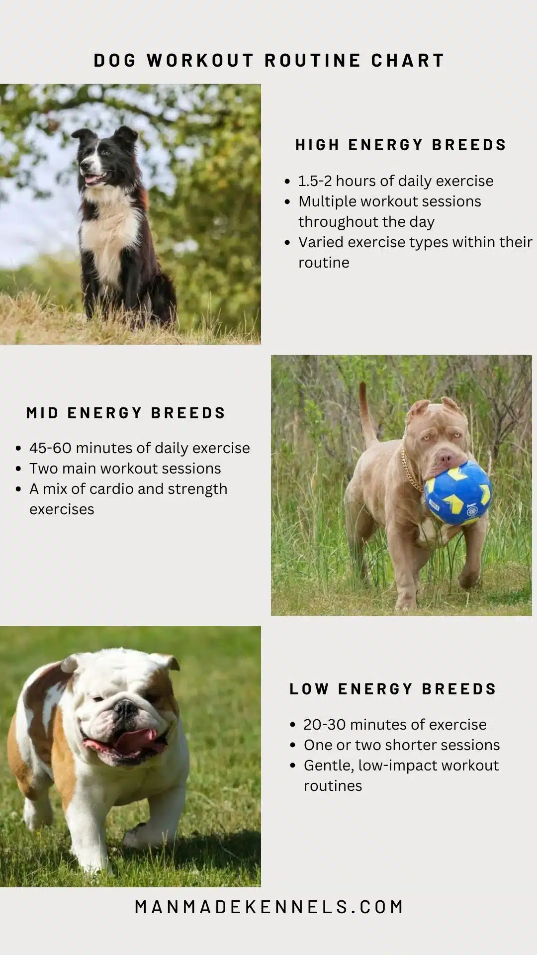 Dog Workout Routine Chart