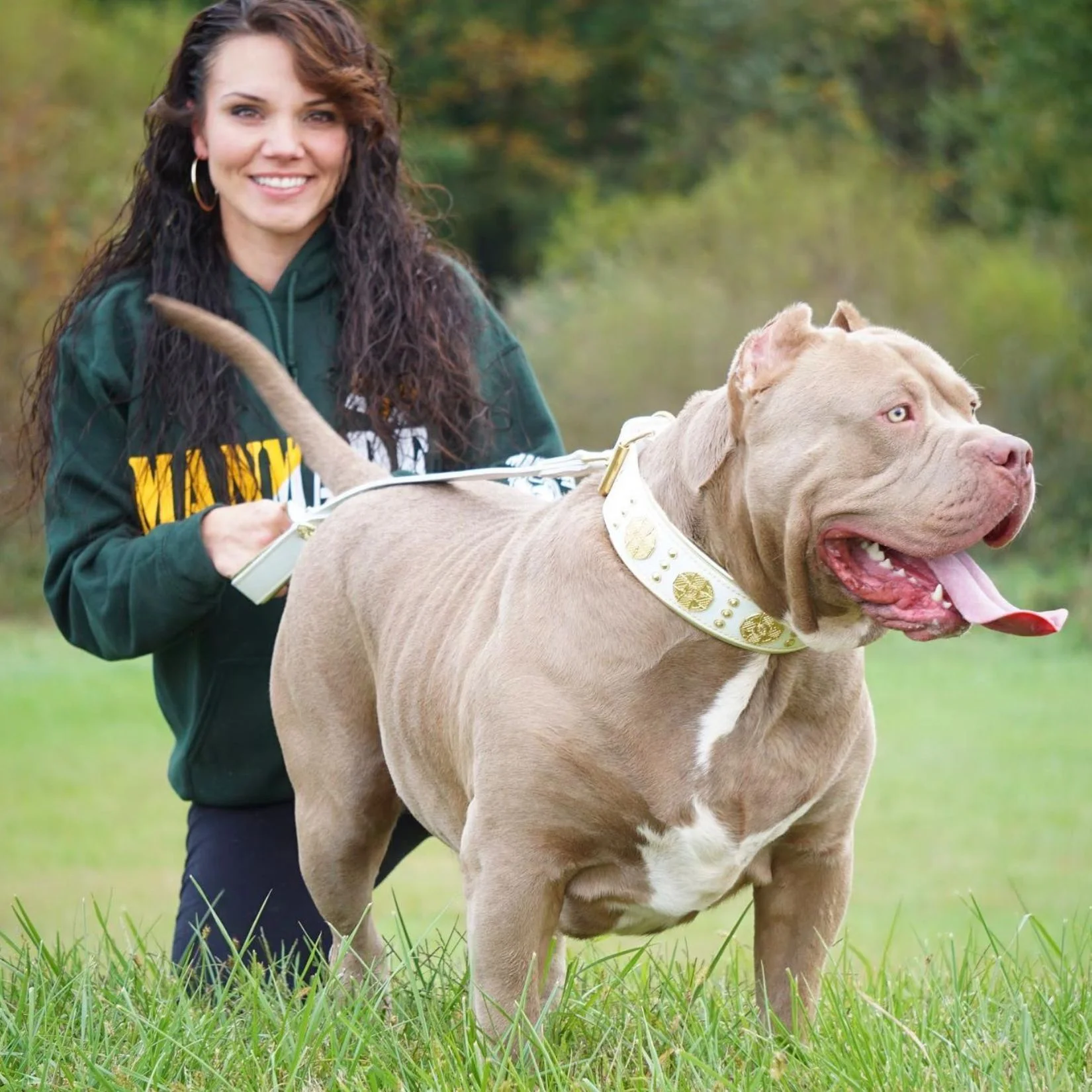 XL Pitbull puppies for sale in Ohio