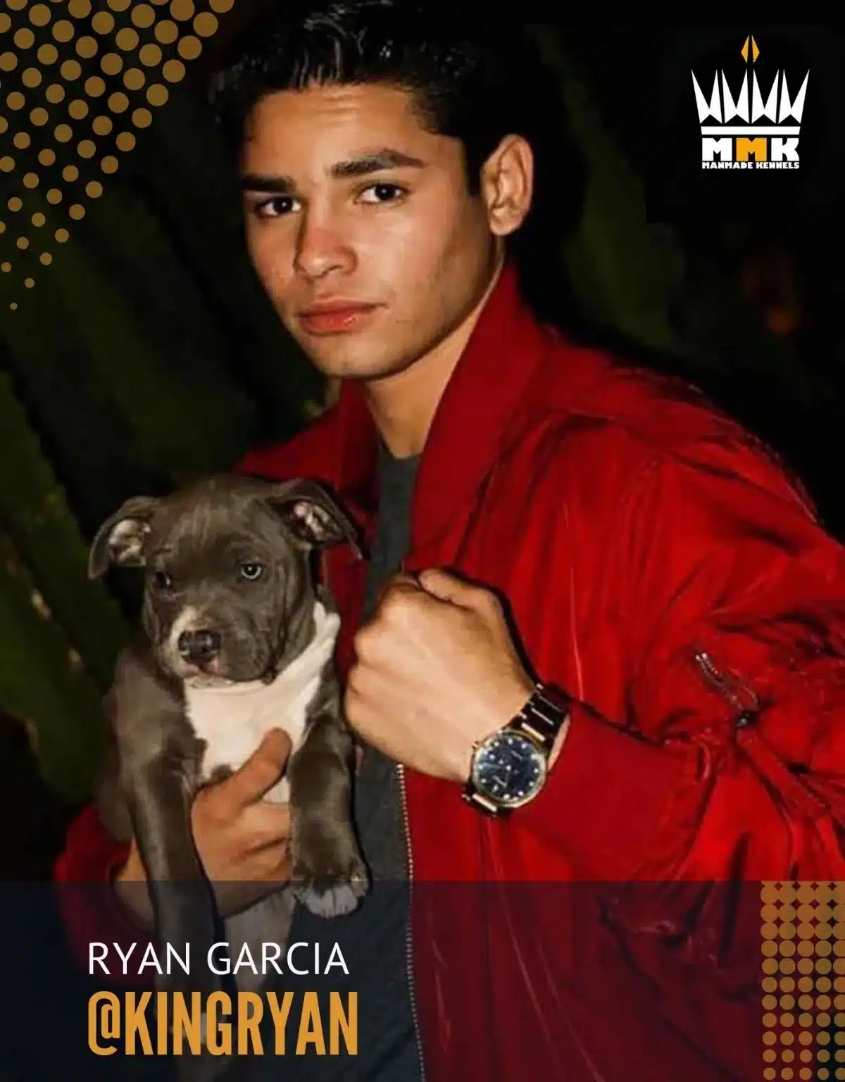 Ryan Garcia King Ryan Pitbull Dog