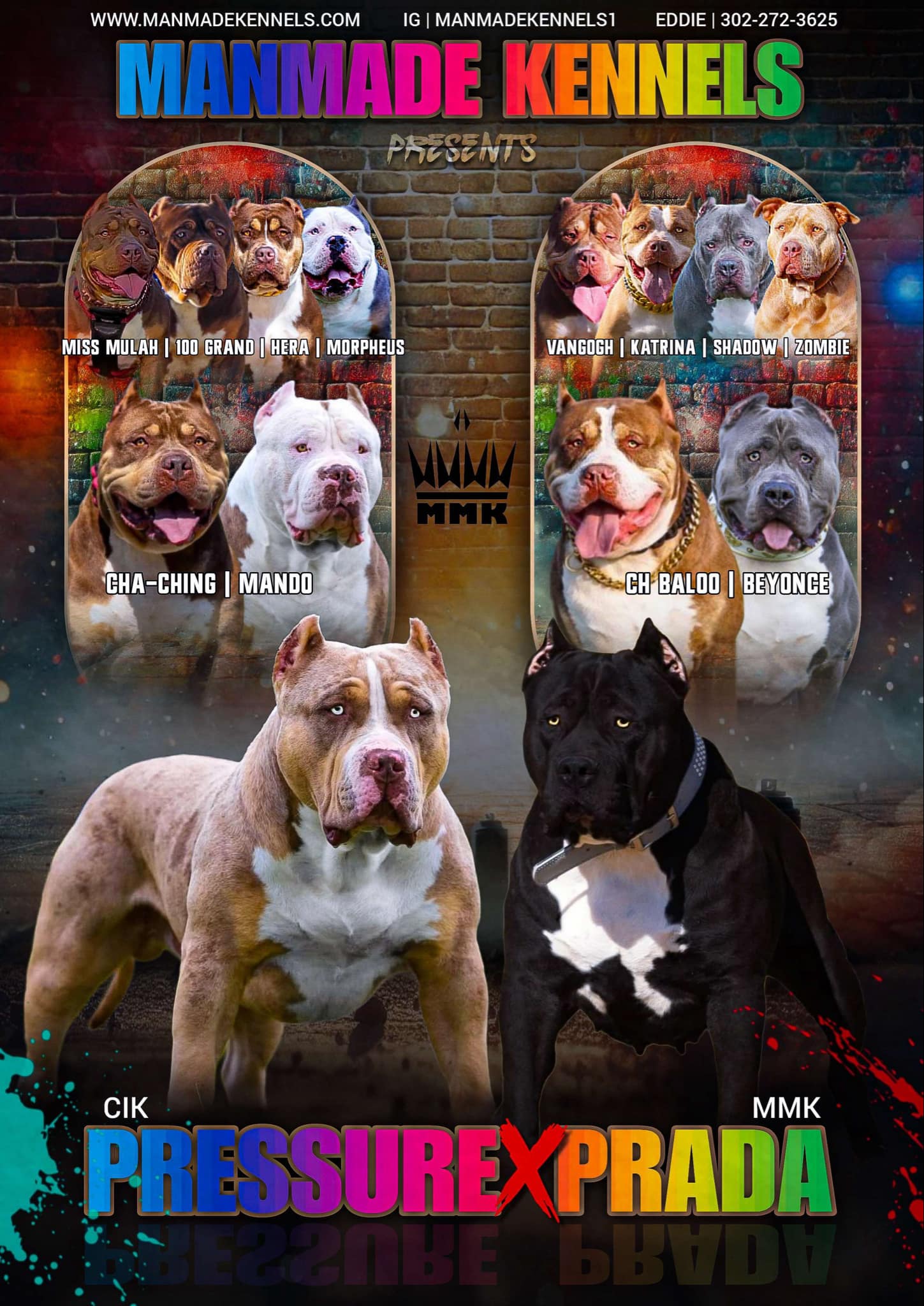 XL bully puppies for sale 2025